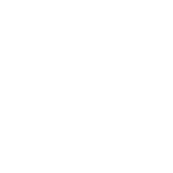 Lithium-Akku Icon